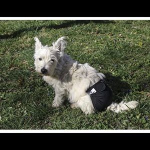 Pet Doggie Pet Diapers